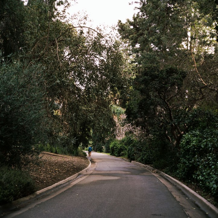 Momwalkingwayoutinfront