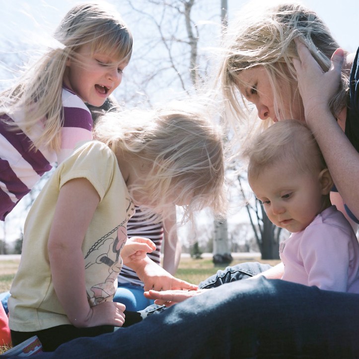 Ladybug in Burley Idaho