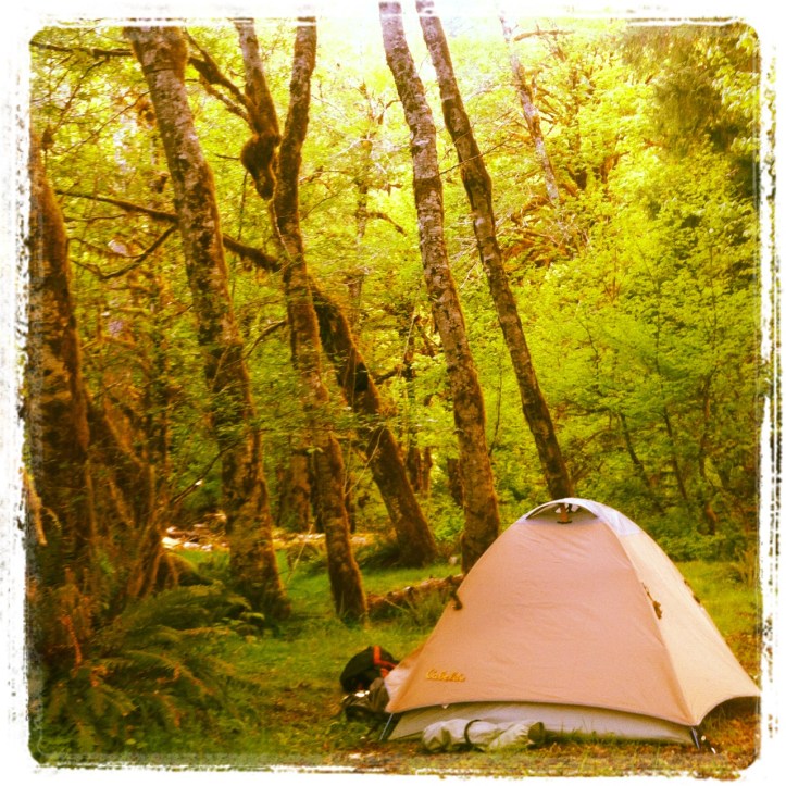 Mt. Tom Creek Campground Hoh river trail Olympic National Park